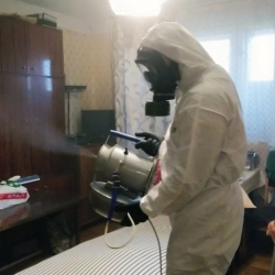 Дезинфекция от клопов в Шлиссельбурге