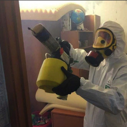 Уничтожение клопов в квартире. Шлиссельбург